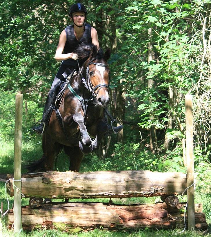 Dansk Varmblod Comtessa - Terræn spring ridelejr 2010 - Foto Michelle Søderlund eller VP:) billede 10