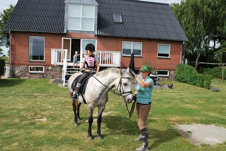 Anden særlig race Charlie - På tur hjem i haven sommer 2010 billede 9