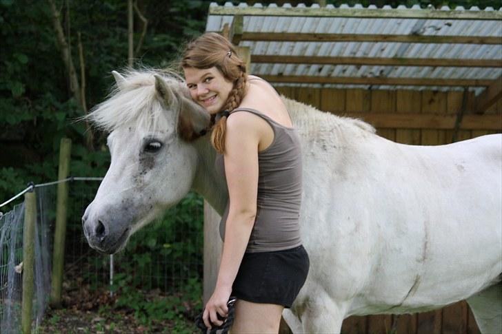 Islænder Pandra - Pandra og min søster den 22.7.2010 billede 11