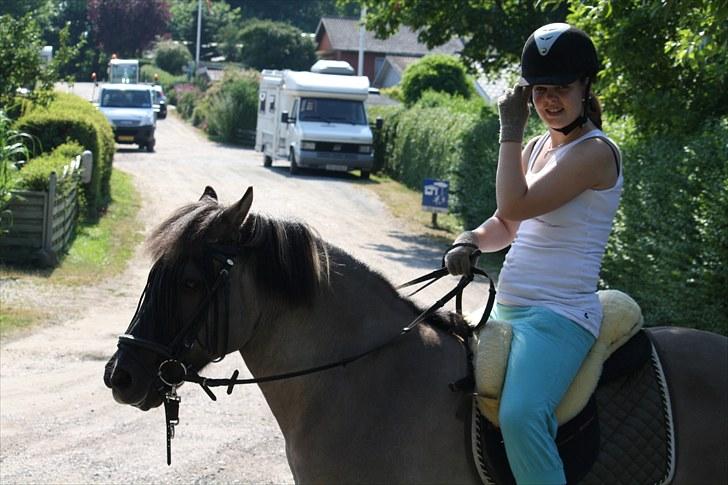 Islænder Sunna fra Vrangbækgård - Sunna og mig i vores nye lammeskindsadel billede 15