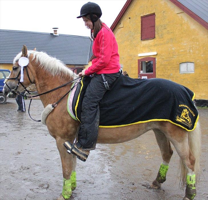Anden særlig race amanda solgt - nyt billede 14-11-2010 billede 8
