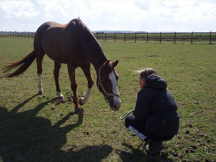DSP Sejerø's Jackie TIDL PONY - Du kom når jeg kaldte! savner at kalde på dig! <3 :* |FOTO: Sara Andersen| billede 19