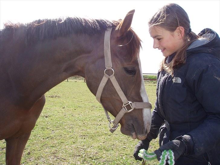 DSP Sejerø's Jackie TIDL PONY - Du er en skat! miss you..<3 |FOTO: Sara Andersen| billede 20