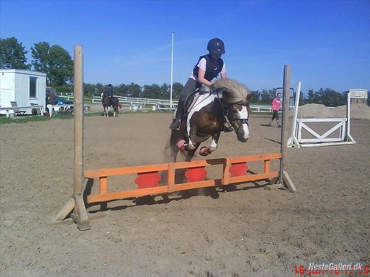 Anden særlig race Dolly (: Red!  - Mesterfotograf: Line Bøttcher(; Tak Line ;D billede 9