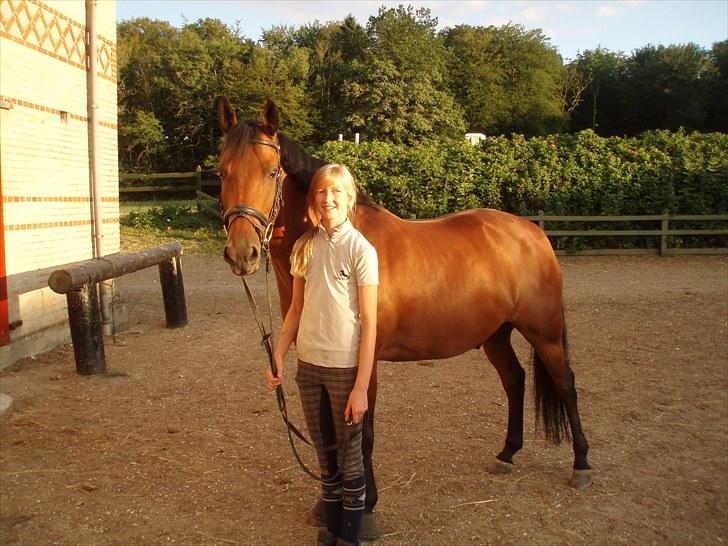 Hollandsk Sportspony Fredslunds Lenkon *A-pony* - mig og Lenkon billede 3