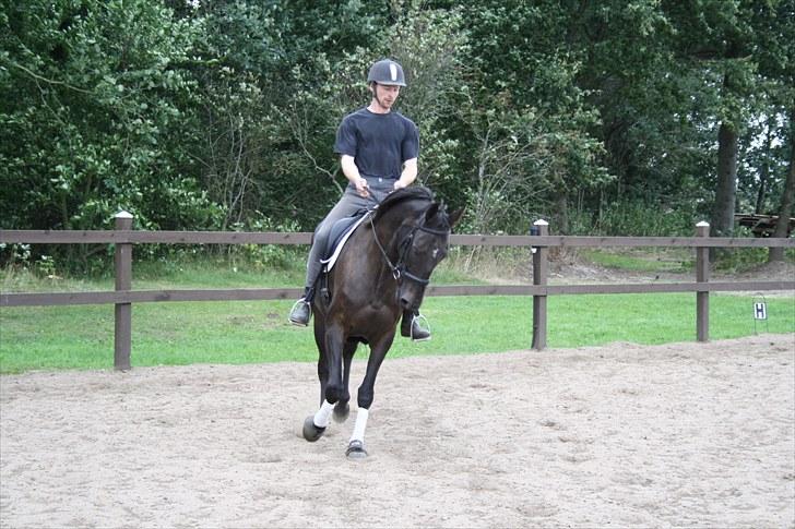 Anden særlig race Anna Alana *byttet væk* billede 2