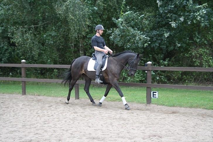 Anden særlig race Anna Alana *byttet væk* billede 4