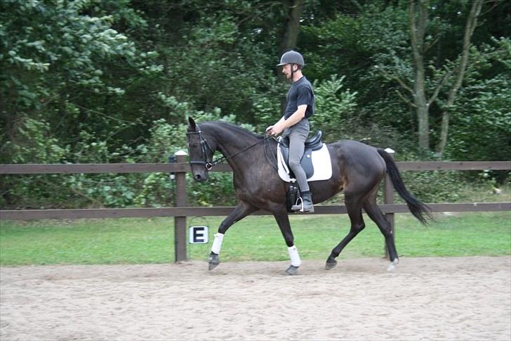 Anden særlig race Anna Alana *byttet væk* billede 5