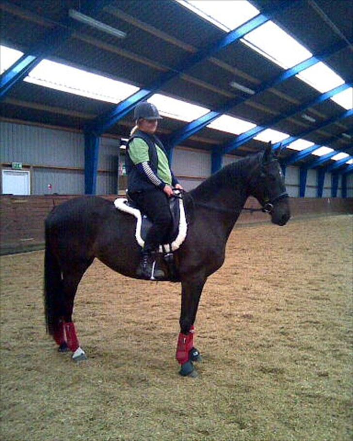 Anden særlig race Anna Alana *byttet væk* billede 6