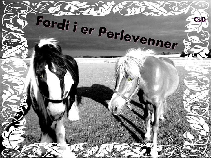 Islænder Sóley fra Lille Nørregård - De dejligste piger i hele verden<33 billede 19