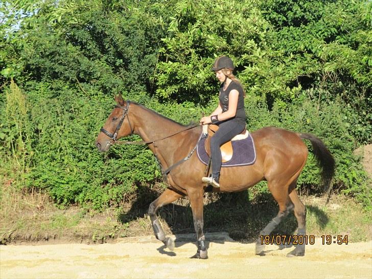 Fuldblod (XX) Eduard - Eddie **DØD**?! billede 12