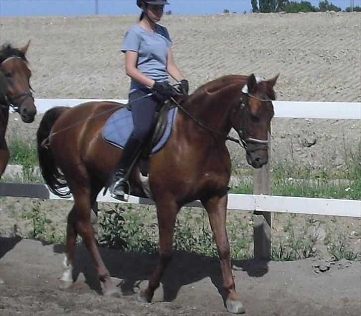 Anden særlig race Rosa  - Mig & Rosa :) 23/7-10 billede 14