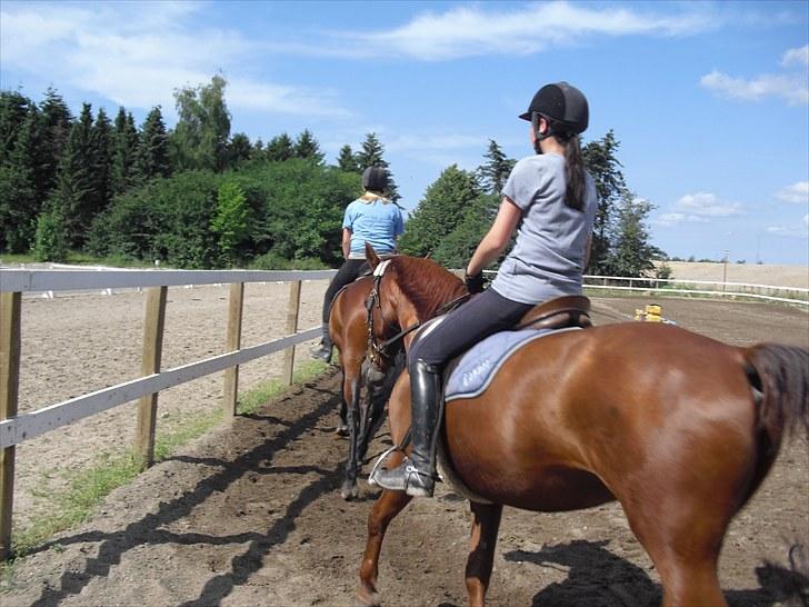 Anden særlig race Rosa  - Mig & Rosa :) 23/7-10 billede 16