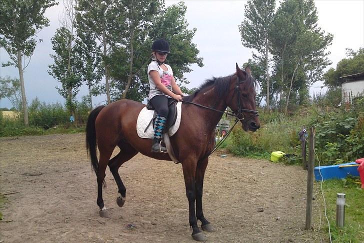 Traver La bell billede 15