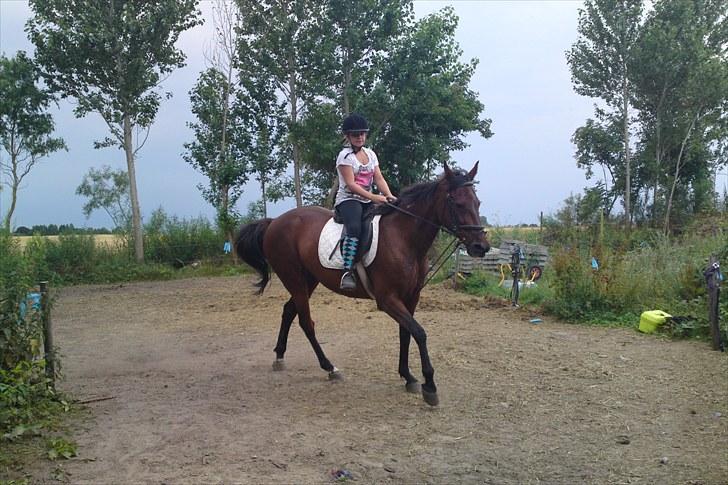 Traver La bell billede 16