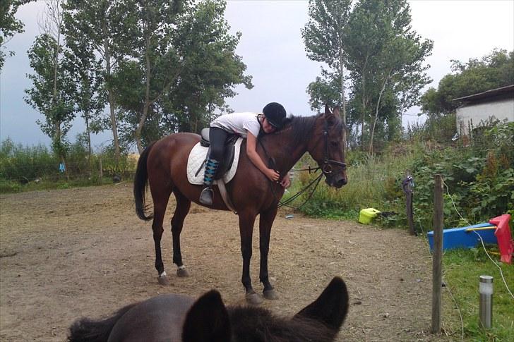 Traver La bell billede 17