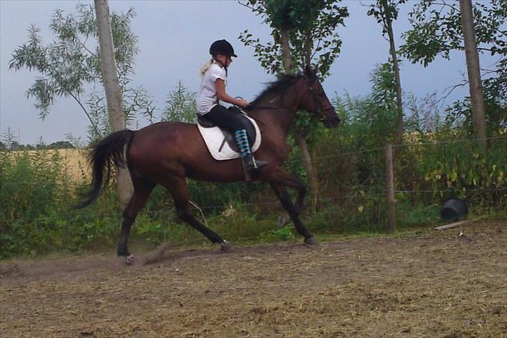 Traver La bell billede 19