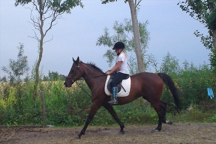 Traver La bell billede 20