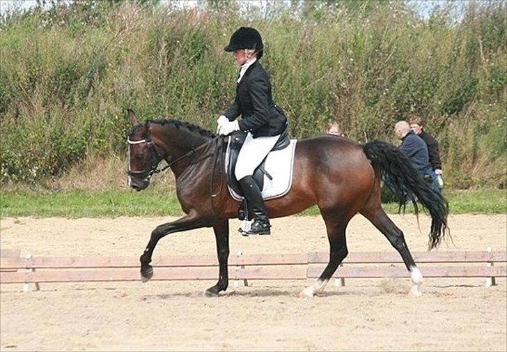 Anden særlig race Angel <3 - distriksstævne grk billede 14