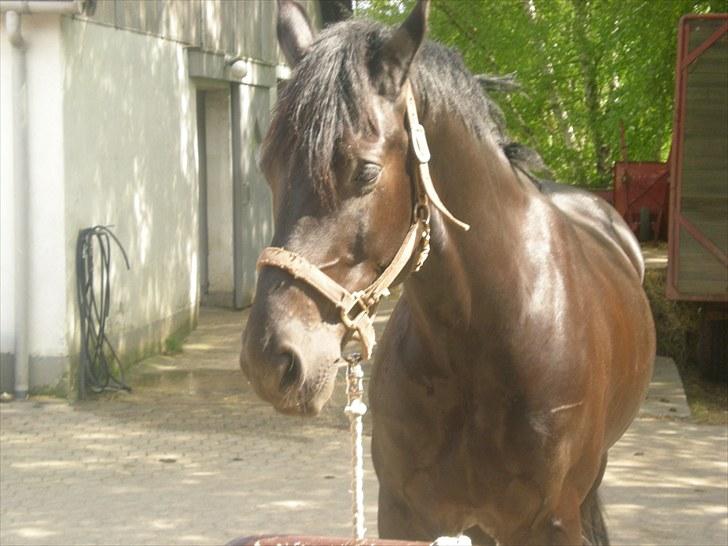 Anden særlig race Noah - ...I just need to know whatever it´s happened, The truth will free my soul<3 billede 6