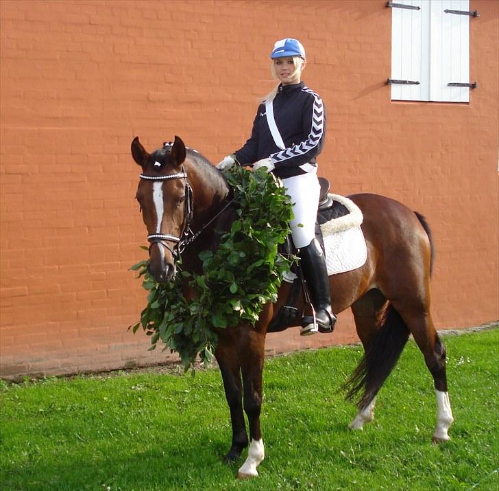 Welsh Partbred (Sec F) stjerneponyen MissDaisy:* - mig og daisy<3 vores 3 ringridning sammen (: skærbæk ringridning 2010. blev prins <3 billede 12