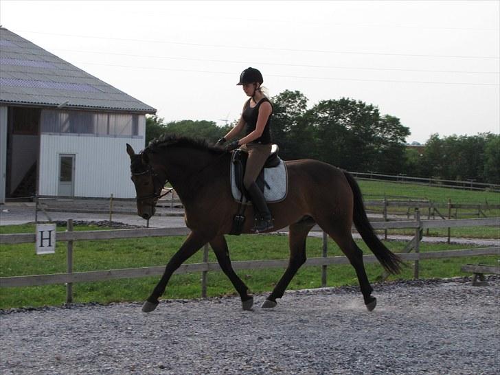 Oldenborg Harely Søndergård <3 Solgt billede 13