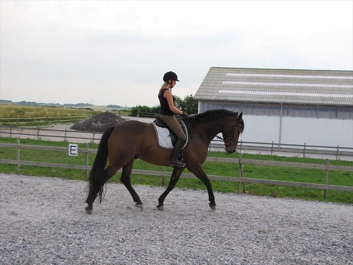 Oldenborg Harely Søndergård <3 Solgt billede 14