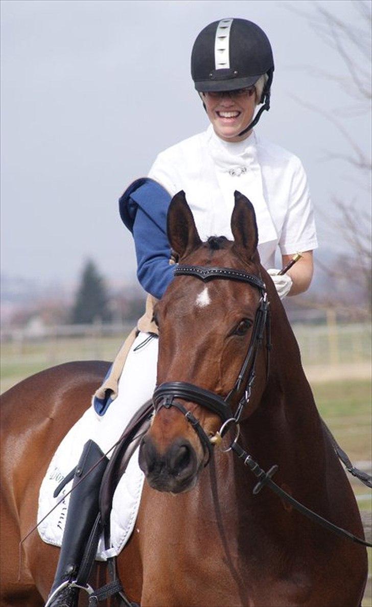 Dansk Varmblod Markgårds Donnewind - Den 3. april 2011 billede 17