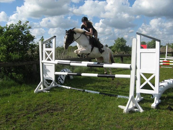 Pinto Duchess R.I.P. - her springer vi 120 cm elsker den hest<3 foto: maja (søs) billede 3