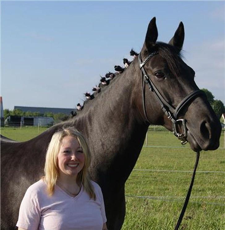 Anden særlig race miss money penny Rip <3  - jeg savner dig ! fotograf: hella billede 19