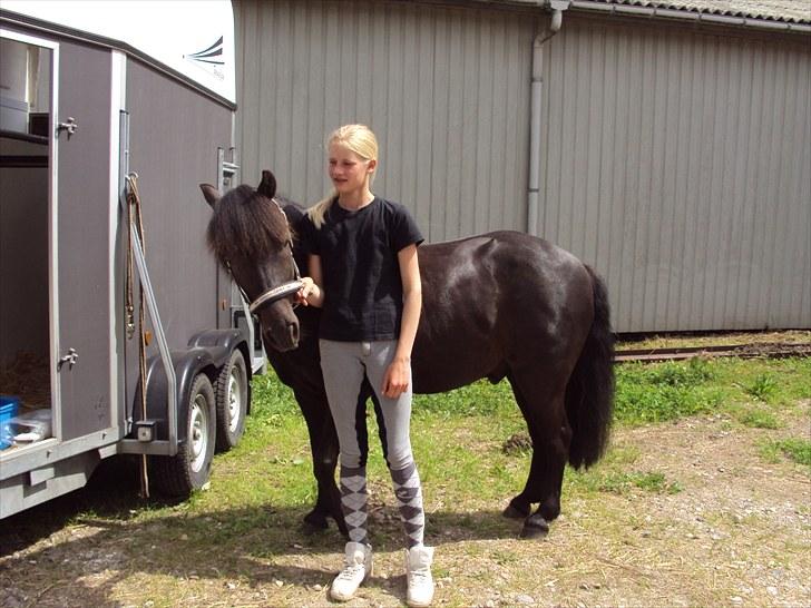 Anden særlig race Valde-solgt..;( - vores første c stævne:) ved traileren billede 17