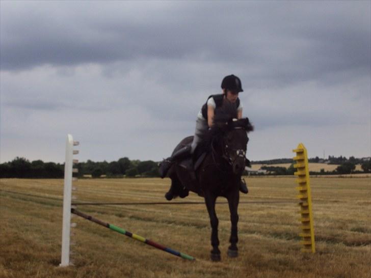 Anden særlig race Valde-solgt..;( - uhh han er dejlig:)  billede 18