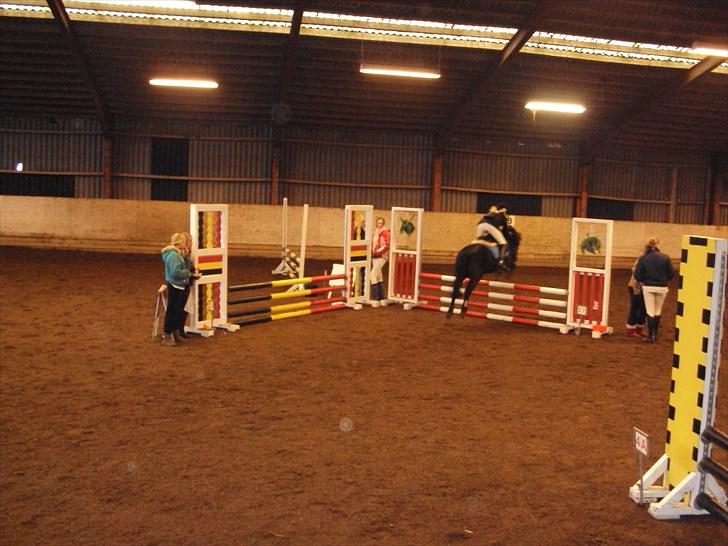 Anden særlig race Valde-solgt..;( - killerup lb:) billede 19