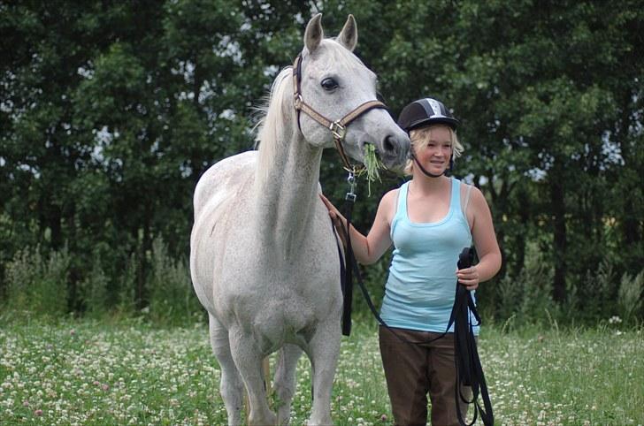 Arabisk fuldblod (OX) Wojak OX 1459 - Mig og wojak 
(Foto: Karina) billede 8