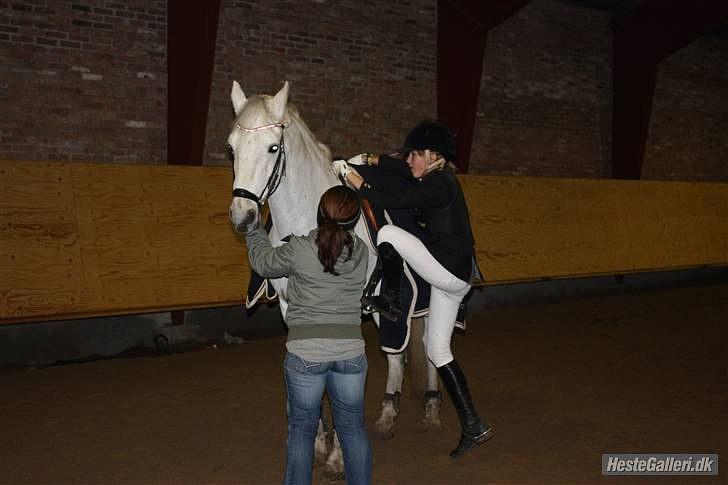 Connemara Calle - SOLGT billede 20