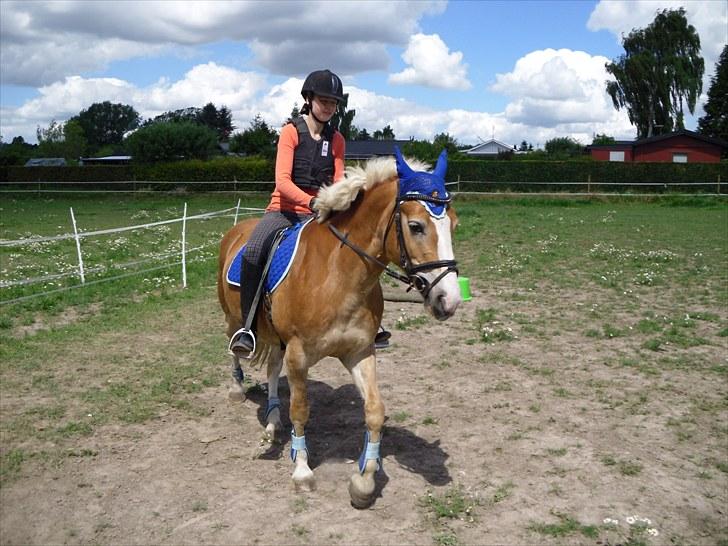 Anden særlig race amanda solgt billede 10