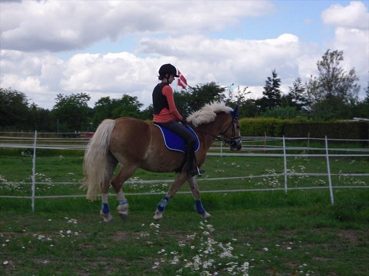 Anden særlig race amanda solgt billede 11