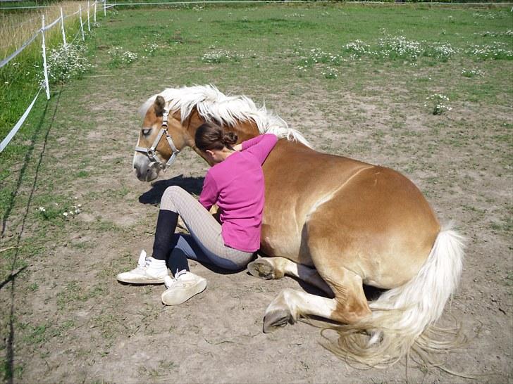 Anden særlig race amanda solgt - søde amanda billede 14