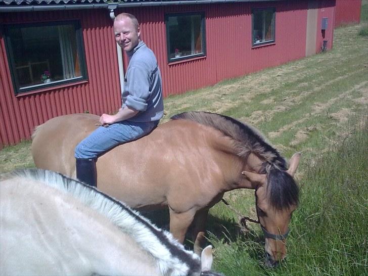 Anden særlig race My Darling billede 5