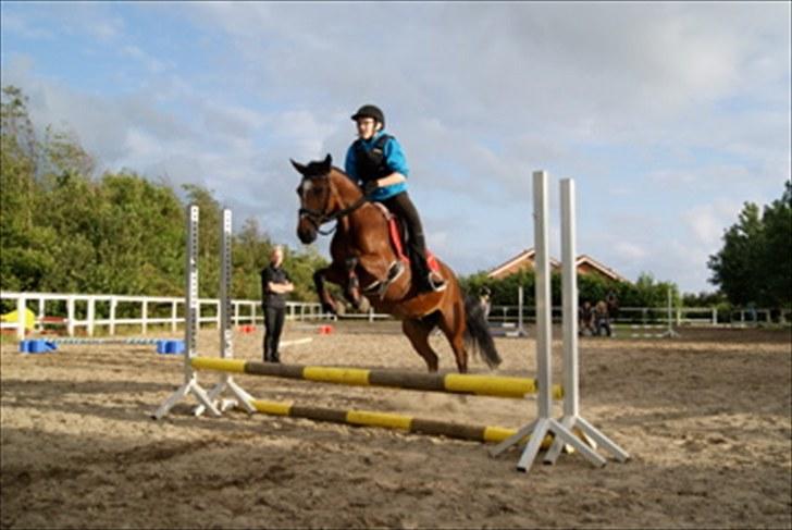 Anden særlig race Nikoline *SOLGT* - Ridelejr 2010 billede 6