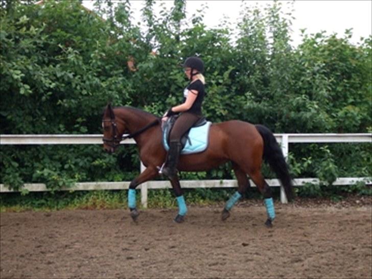 Anden særlig race Nikoline *SOLGT* - Lidt dressur træning:D Ridelejr 2010 billede 7