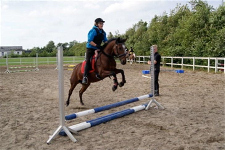 Anden særlig race Nikoline *SOLGT* - Lidt gymnastik spring:D Ridelejr 2010 billede 8
