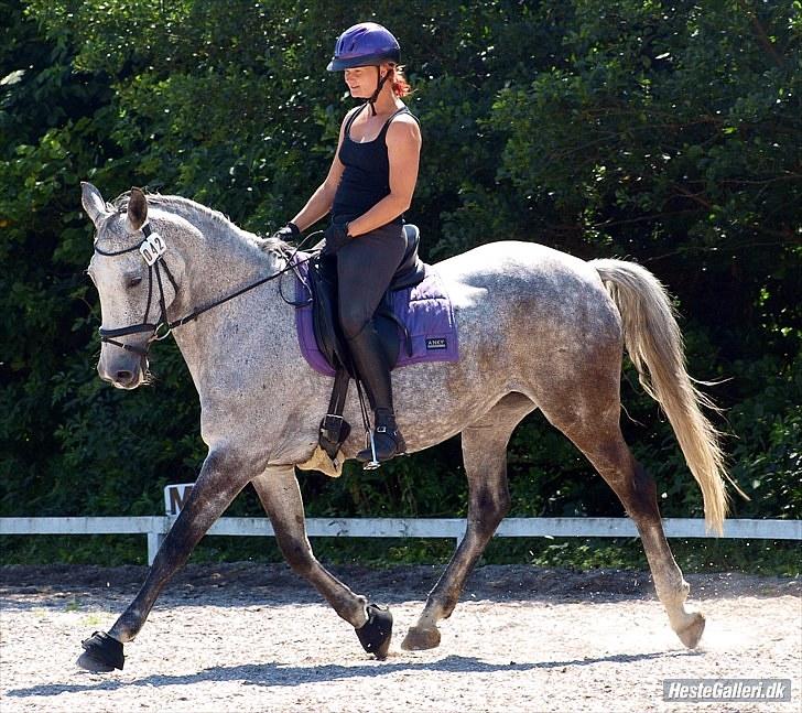 Anden særlig race Lotus - kursus SRÅ juli 2010. vi har rykket lidt i dressuren. :D billede 6