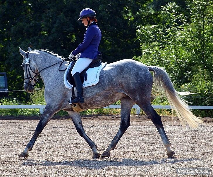 Anden særlig race Lotus - cnc80 SRÅ juli 2010 billede 10