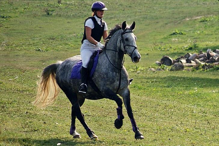 Anden særlig race Lotus - minimilitary hhn sept 2009 billede 17