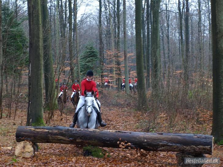 Anden særlig race Lotus - turbodulle på julejagt 2009 billede 13