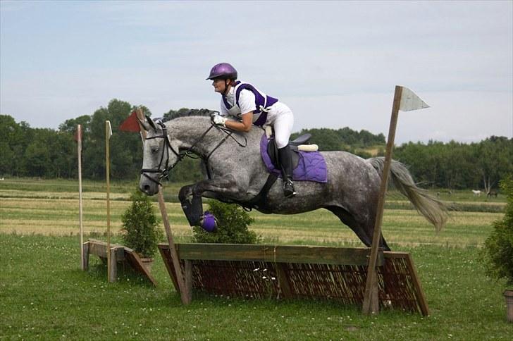 Anden særlig race Lotus - søg 7 august 10. cnc 80 foto: fuzz foto. billede 15