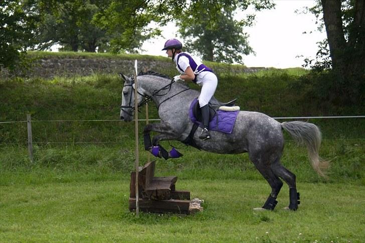 Anden særlig race Lotus - søg 7 august 10. cnc 80 foto: fuzz foto. billede 8