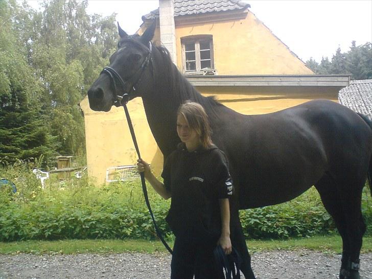 Anglo Araber (AA) Butterhill's Chanté - Mig og Chanté<3 billede 10