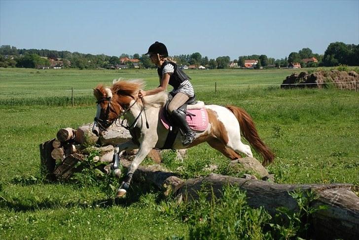 Pinto Rasmus - Søborggård ridelejr på EGE uge 26 2010!<3 billede 18